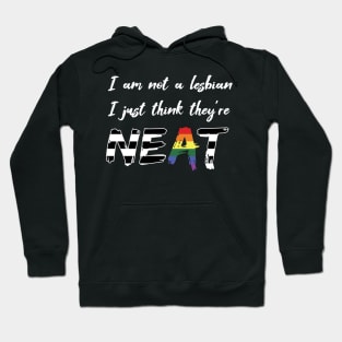 I am not a Lesbian, I just think they're NEAT (Ally) Hoodie